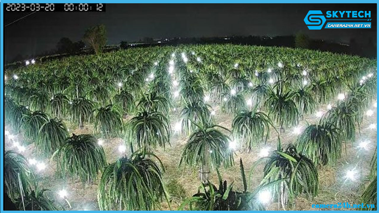 camera-wifi-yoosee-ngoai-troi-xoay-360-s8l-4