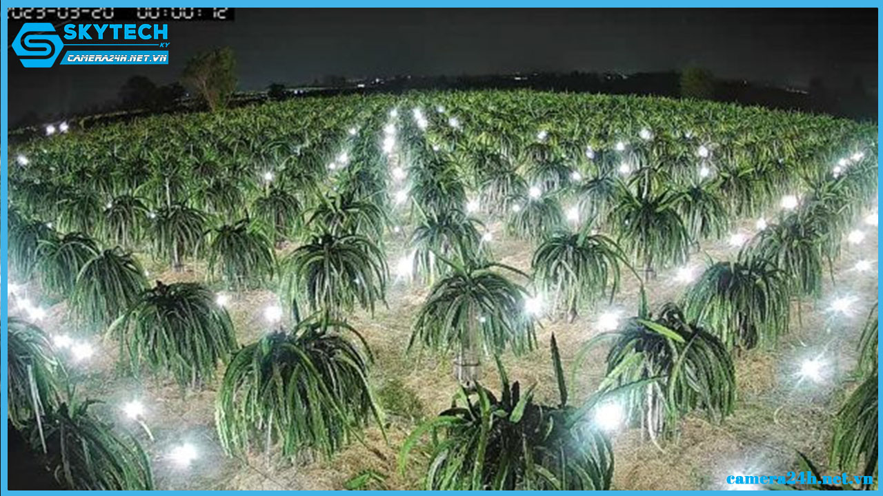 camera-yoosee-nang-luong-mat-troi-xoay-360-tich-hop-sim-4g-4