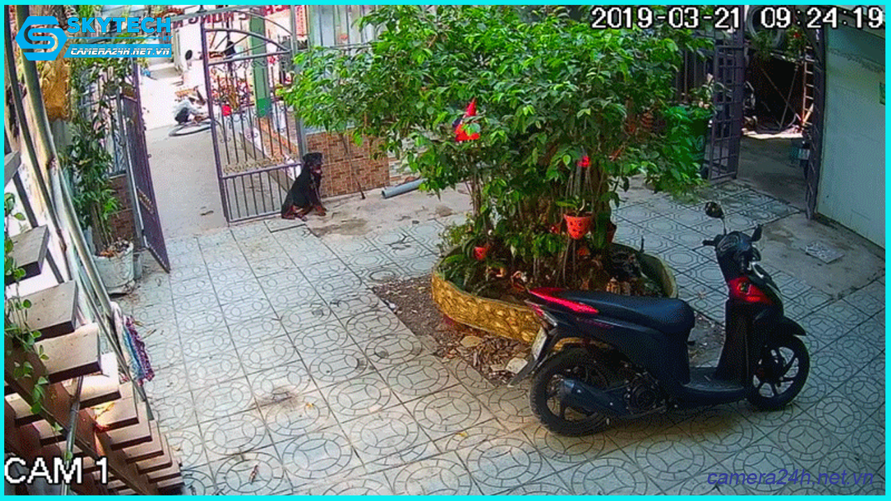 camera-ip-ngoai-troi-j-tech-uhd5703d-4mp-human-detect-face-id-3